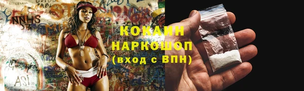 гашик Алзамай