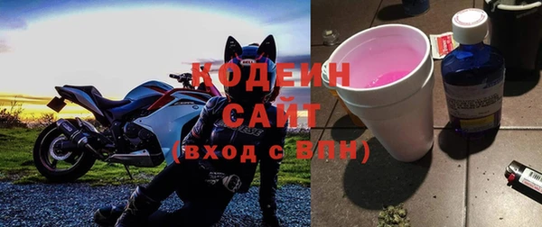 гашик Алзамай