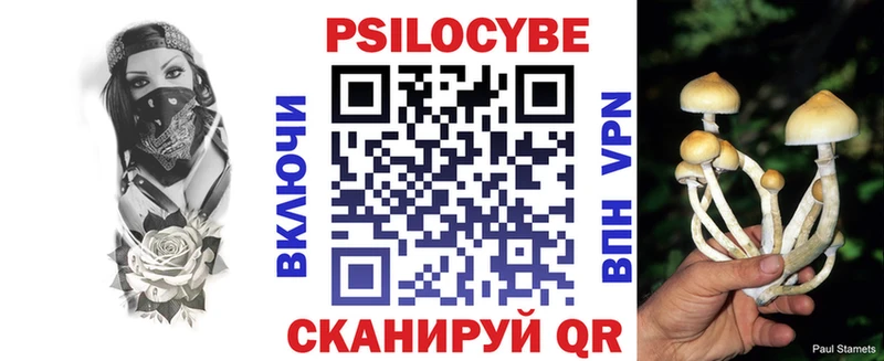 ОМГ ОМГ как зайти  Электрогорск  Галлюциногенные грибы Magic Shrooms 
