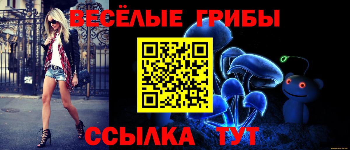 Электрогорск  Галлюциногенные грибы GOLDEN TEACHER  Вход с VPN 